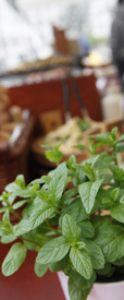 Canopy Market Stall